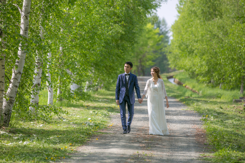 白樺並木を抜けて