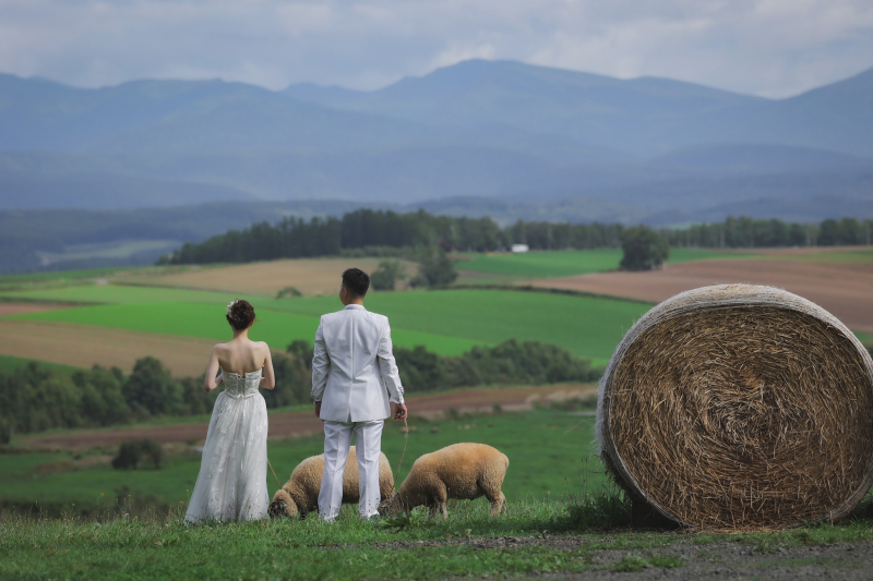 のんびり楽しい思い出撮影