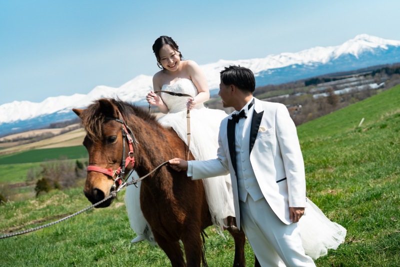 お馬さんの調子が良ければ乗馬体験も!