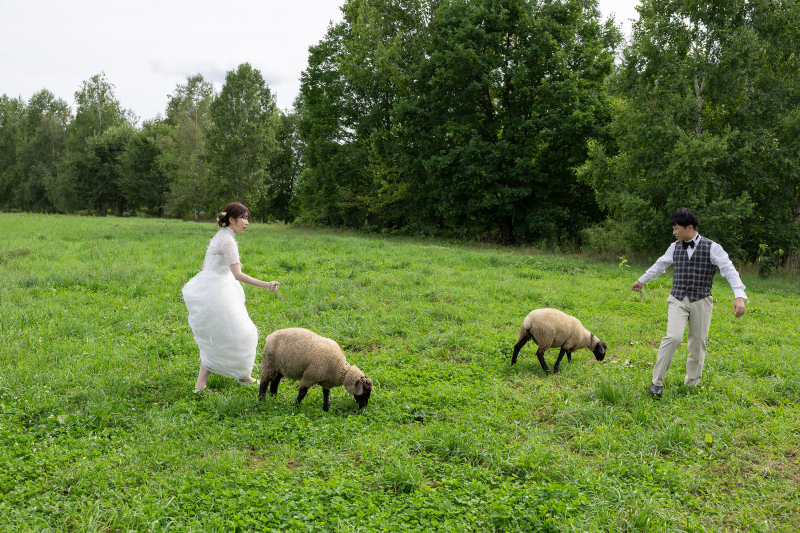 お散歩もできます!