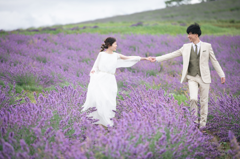 富良野・美瑛ロケーション