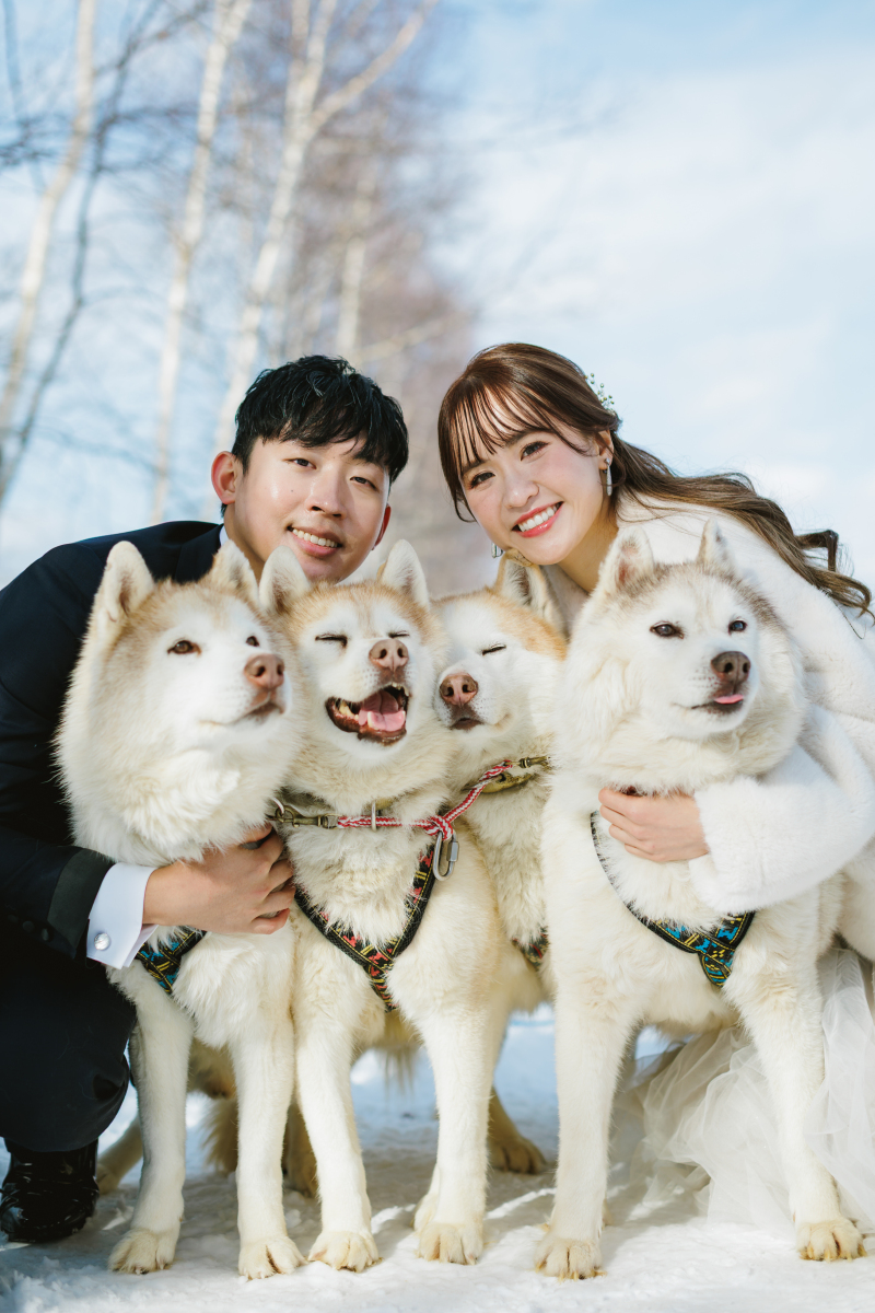 ハスキーたちと至福の時間