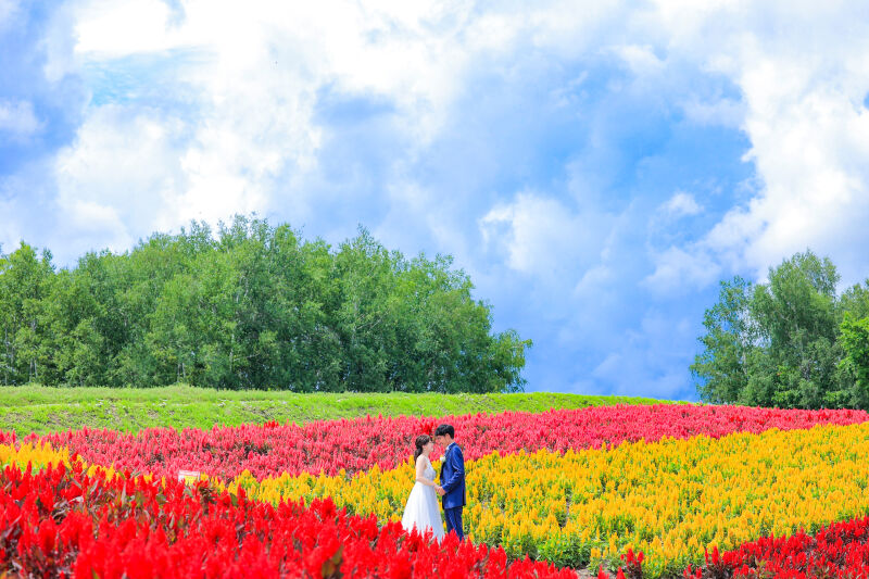 花畑プランでとことん楽しみましょう♫