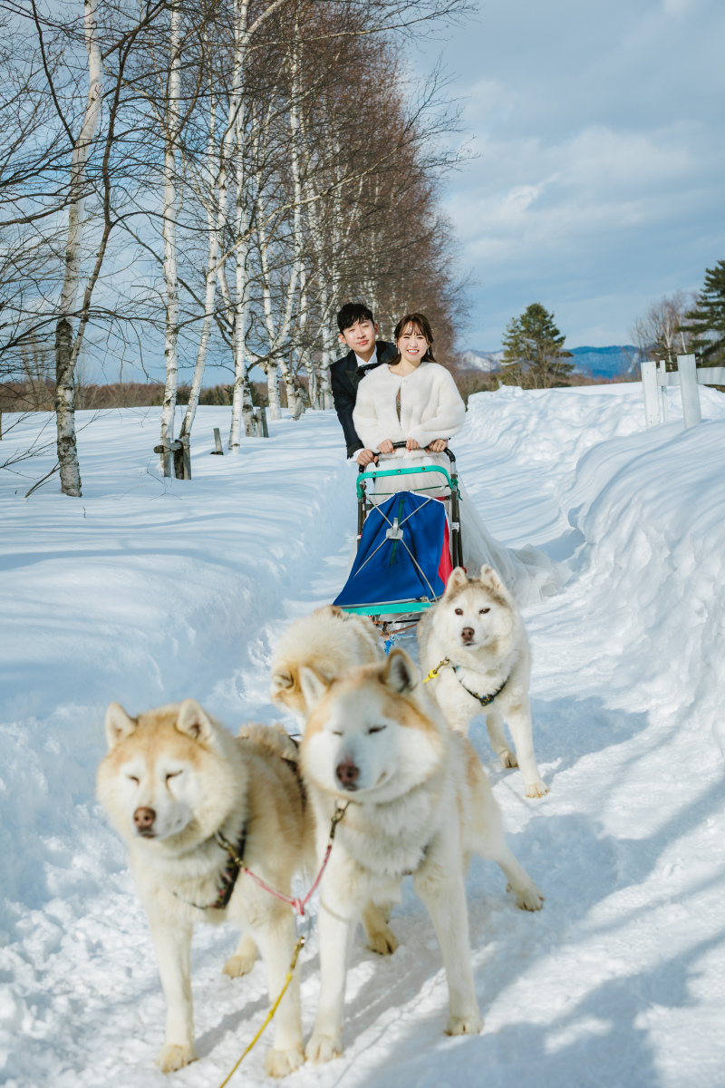 ハスキーたちと冬のおとぎ話のような