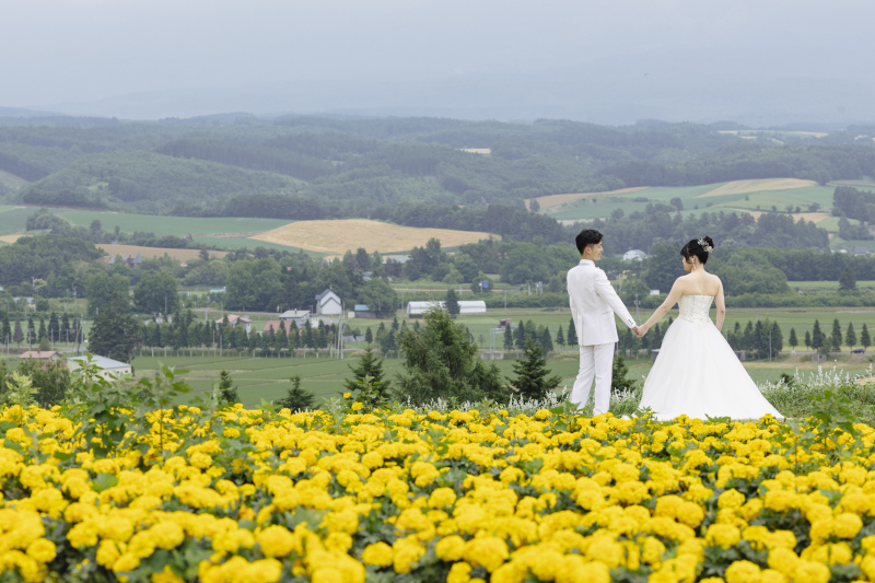 カラフルーのお花達
