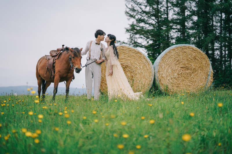 動物たちと撮影できる癒しの場所