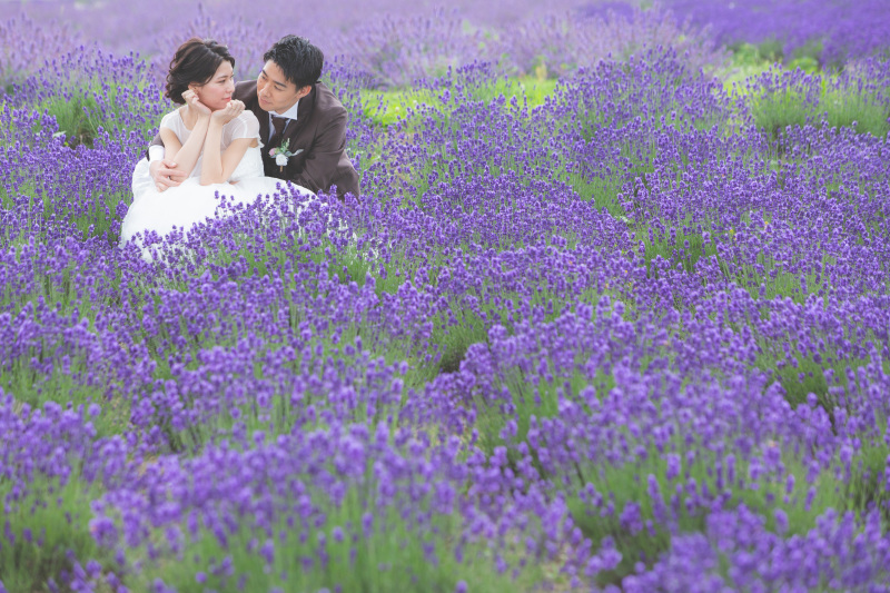 日の出公園ラベンダー