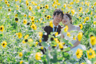 ひまわり畑×牧場