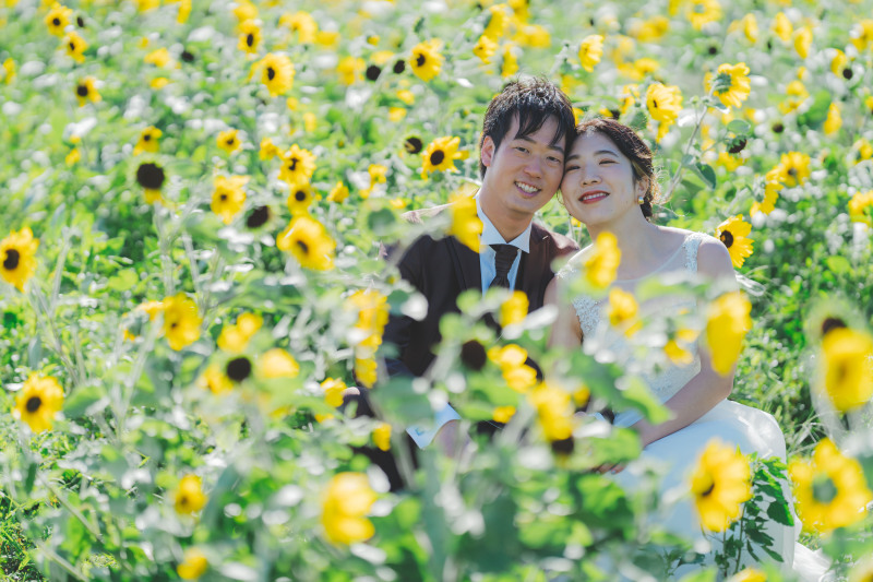 ひまわり畑×牧場
