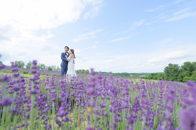 ラベンダーに囲まれて