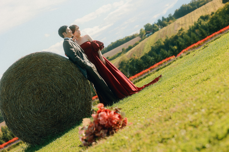 牧草ロールのそばで