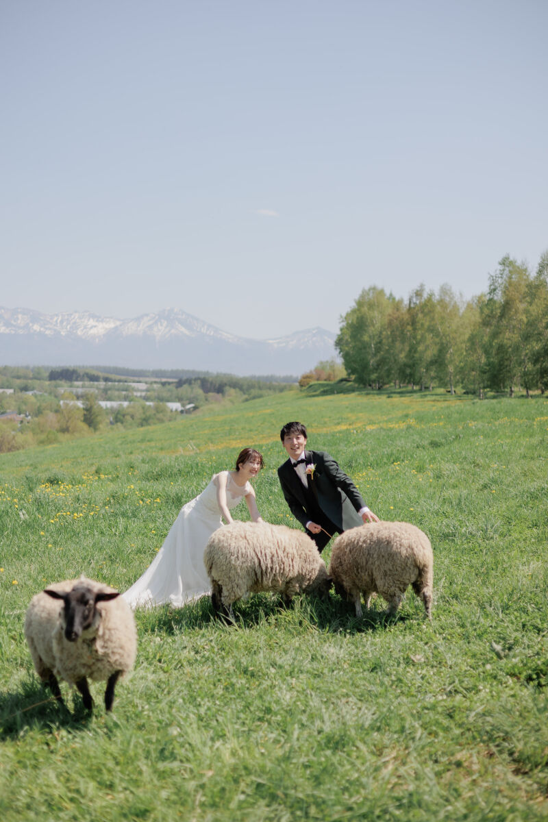 動物たちにも慣れてきた..?