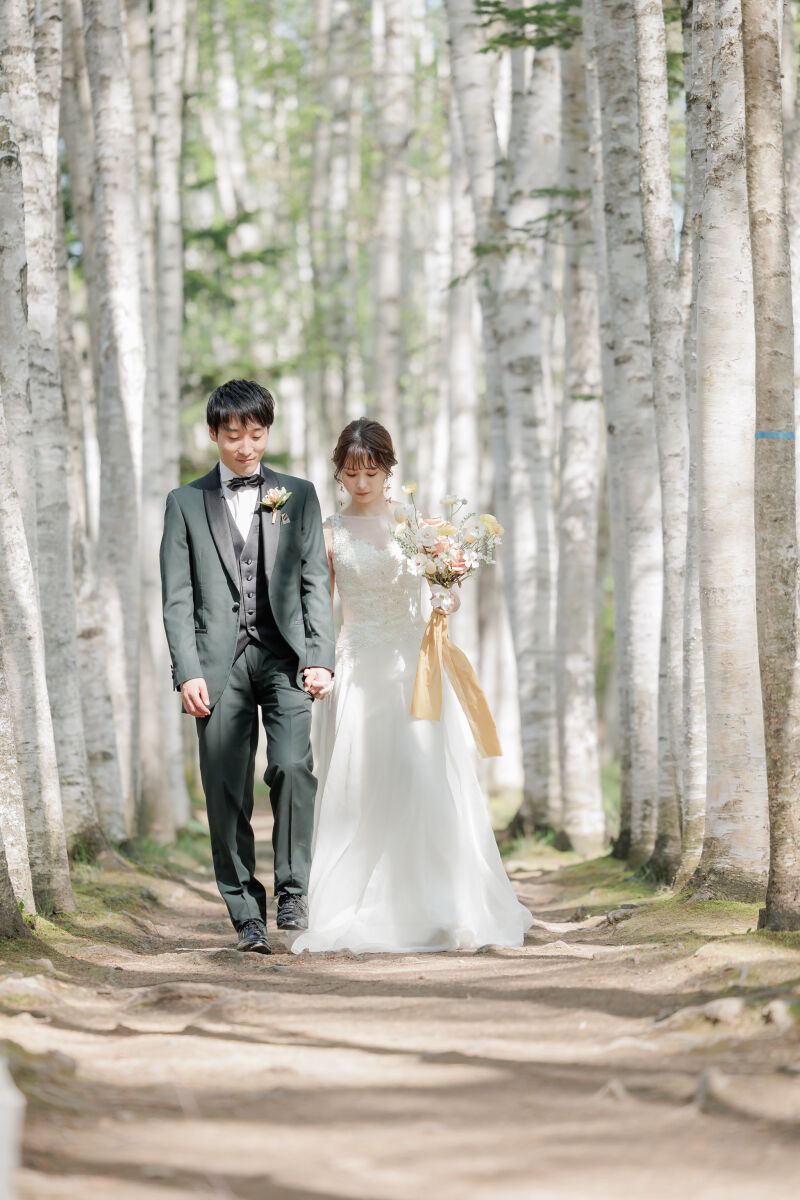 白樺並木でも撮影してきました！