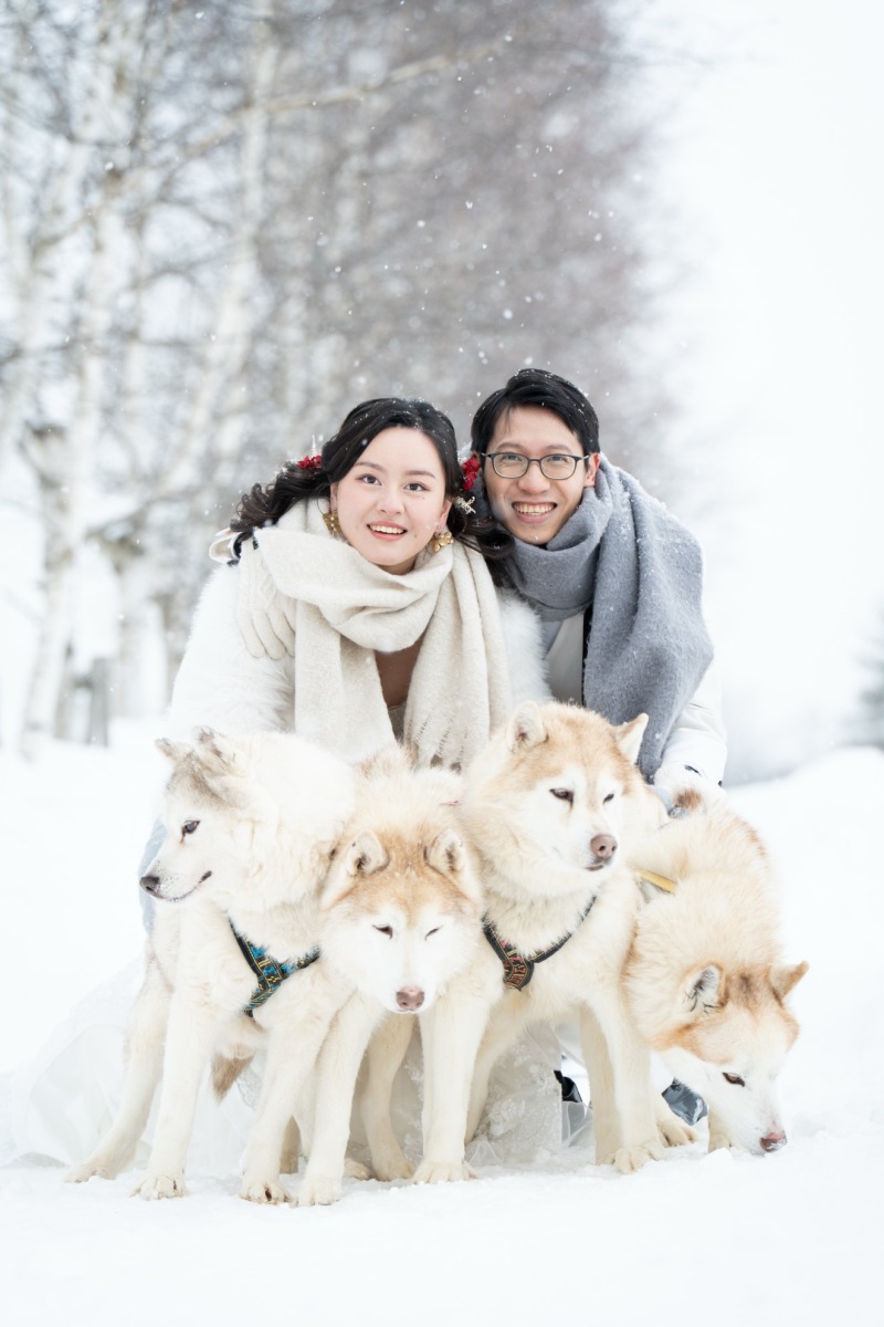 写真ではいい感じの雪景色