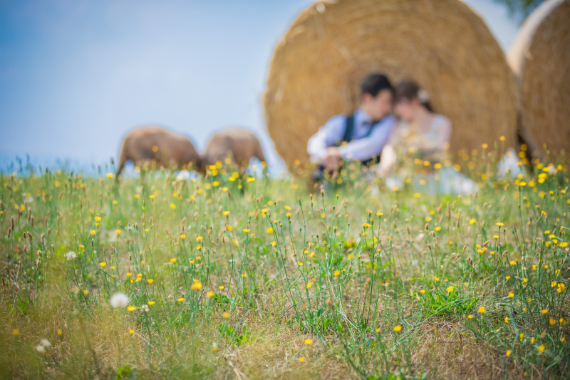 柔らかい雰囲気で