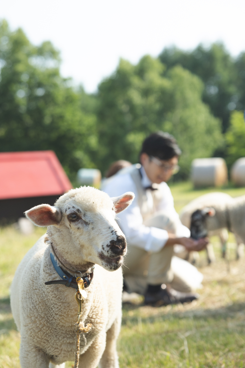 みんなお食事中
