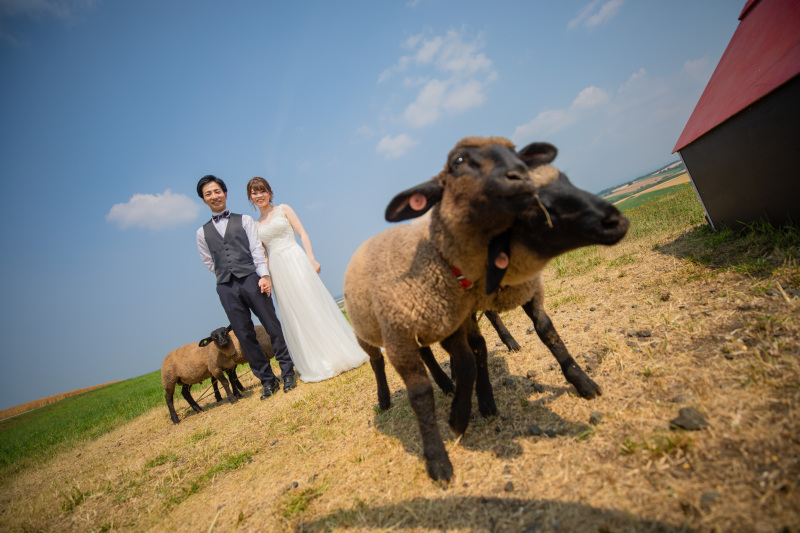 可愛い動物たちと一緒に撮影したいならココ！