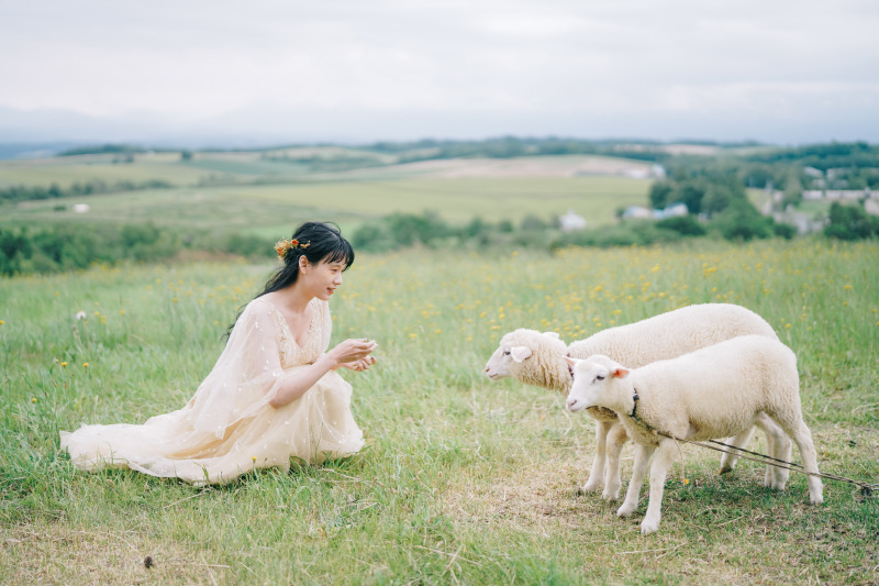 可愛い動物たちがお出迎え