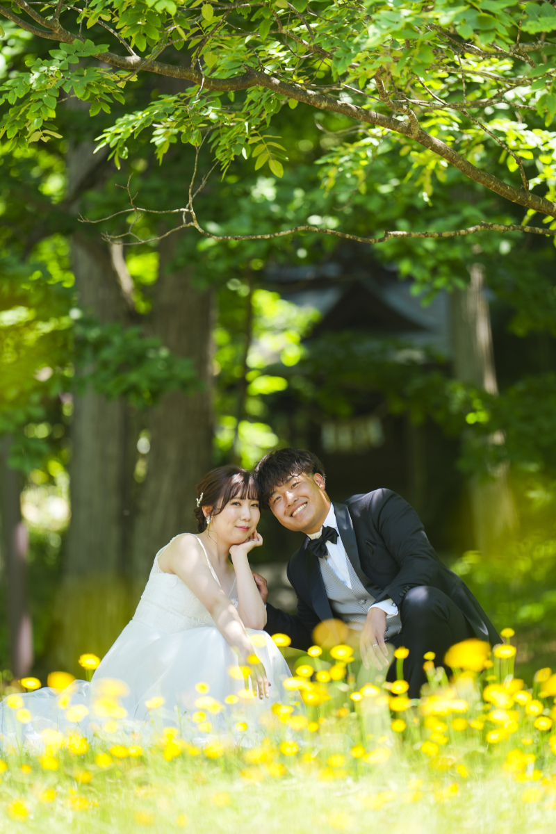 たんぽぽの群生地