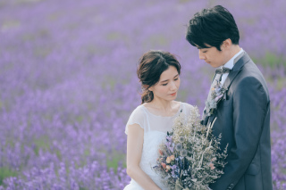 富良野のラベンダー畑