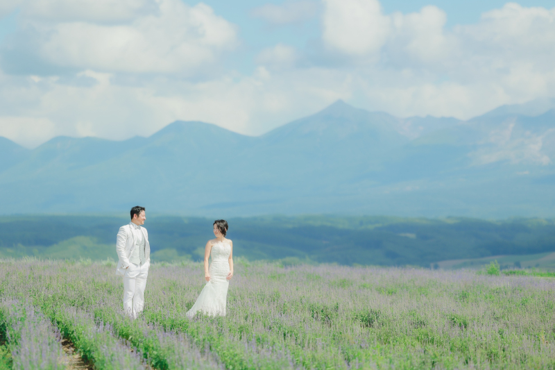 広大に広がる景色