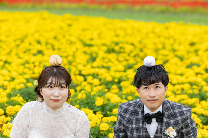 可愛い鳥のぬいぐるみ!