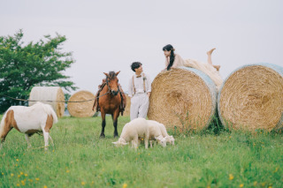 たくさんのかわいいが詰まったファームズ千代田