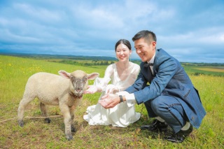 ラベンダーと牧場で♫