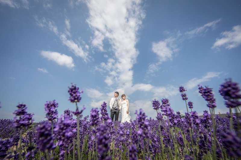 北海道で前撮り！