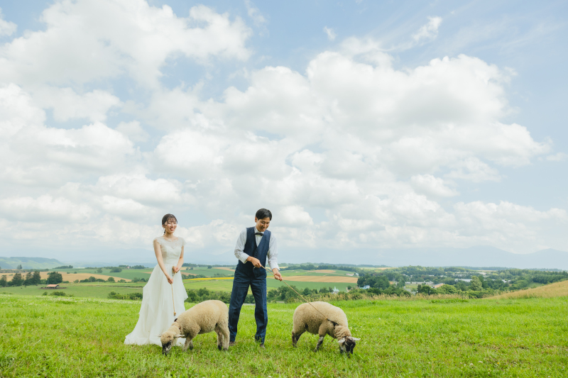 ヒツジとお散歩♪