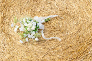 雄大な北海道を堪能