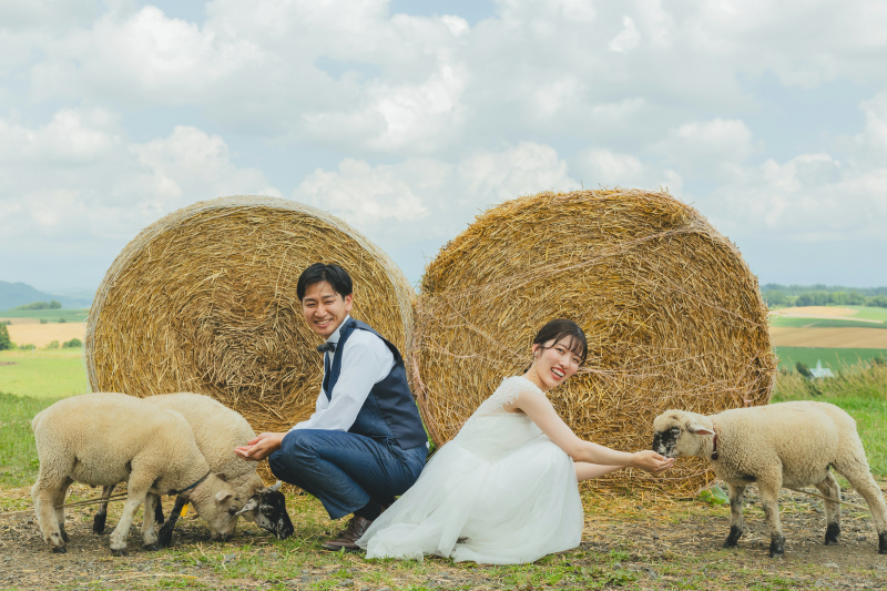 ヒツジたちと触れ合いながら