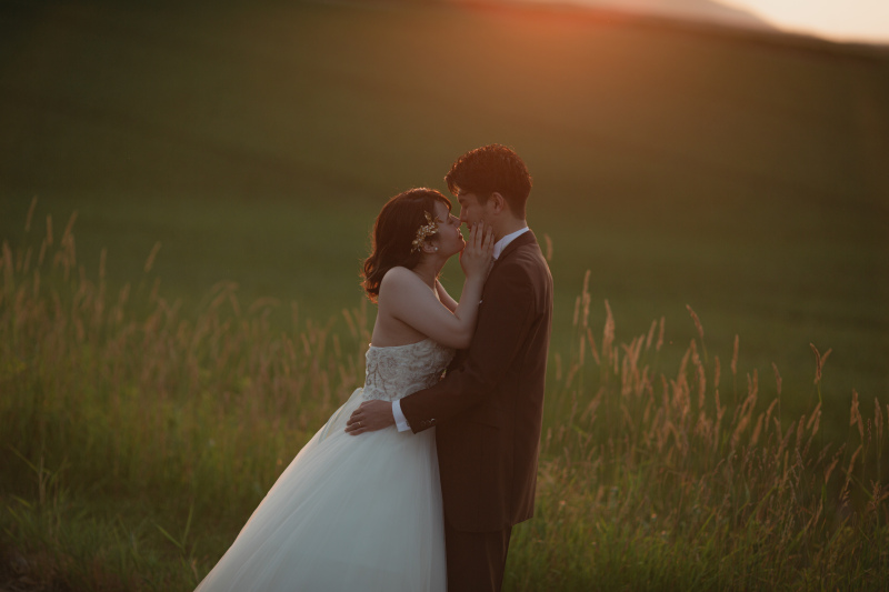 黄金色に染まって