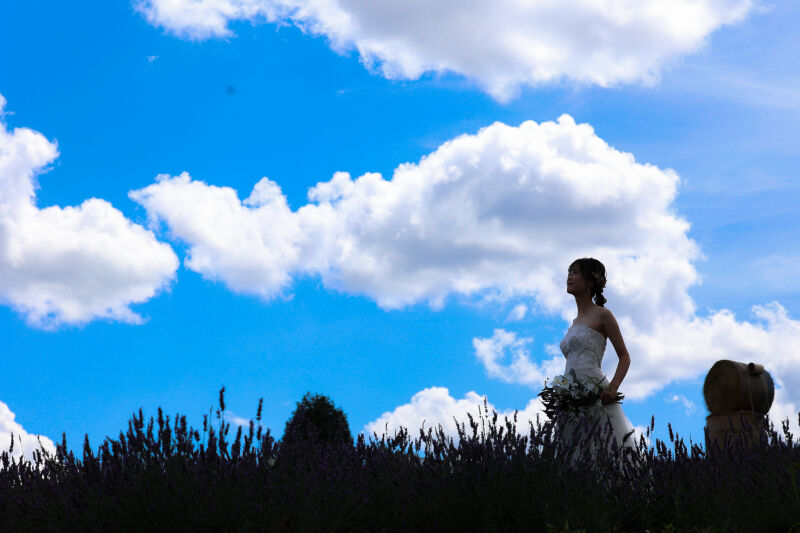 美瑛ロケーションPart4