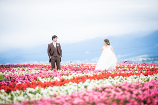 今年もお花畑で…♪