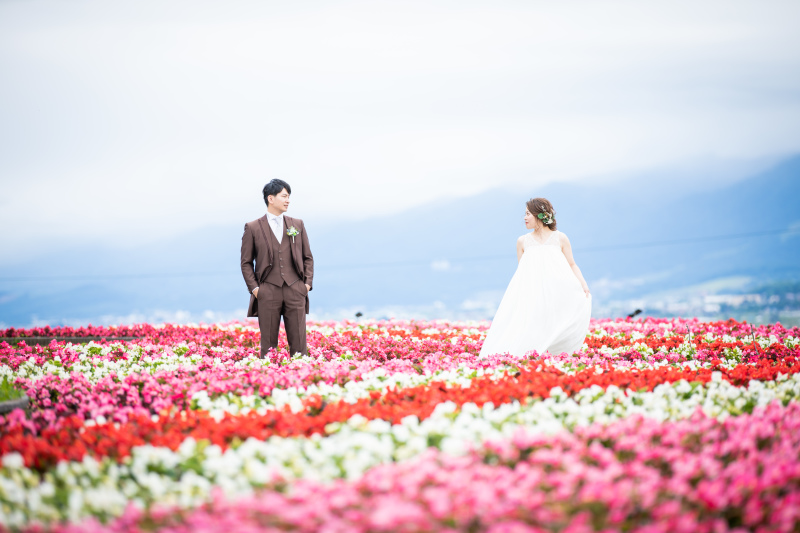 今年もお花畑で…♪