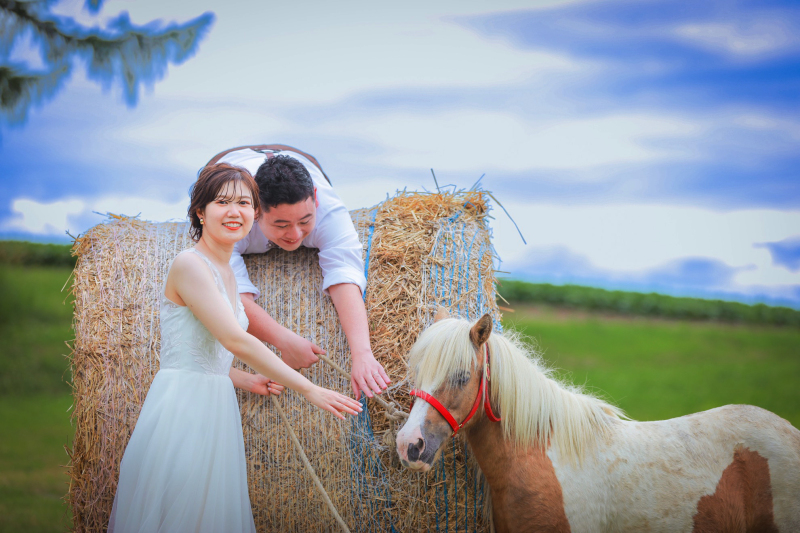 最後は牧場で＊