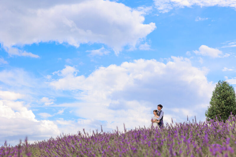 花畑ロケーションPart7