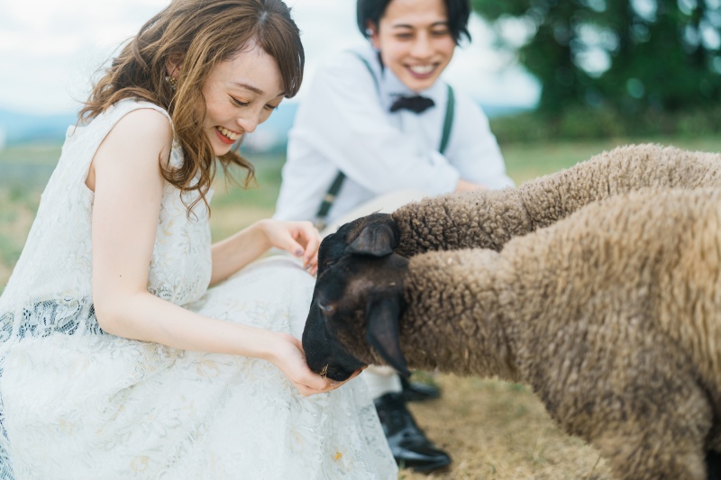 STUDIO SOLA 美瑛店（スタジオSOLA）