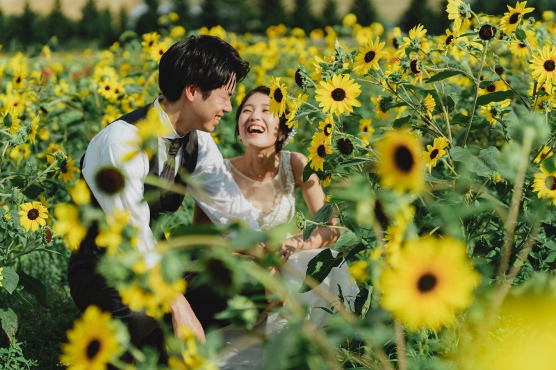 STUDIO SOLA 美瑛店（スタジオSOLA）