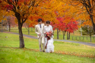 STUDIO SOLA 美瑛店（スタジオSOLA）_美瑛の紅葉は10月！