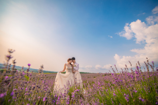 データダウンロード納品