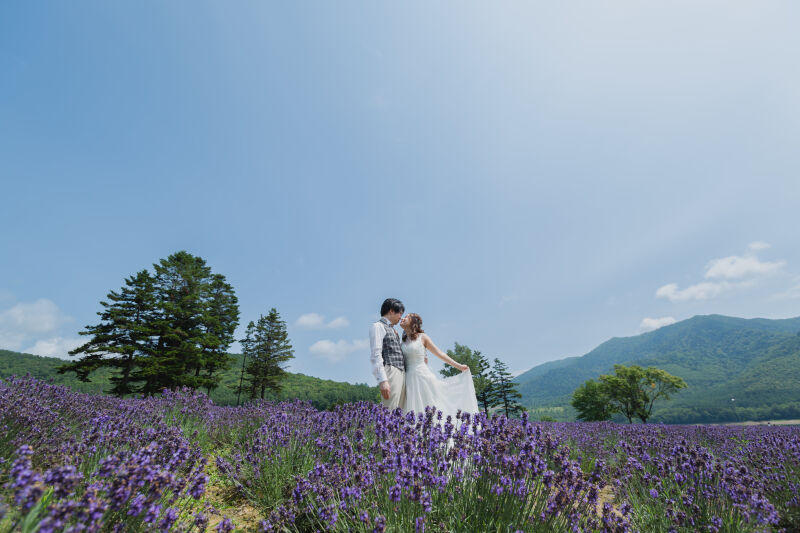 選べるシーズン