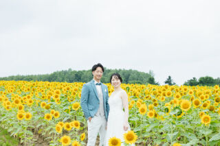 STUDIO SOLA 美瑛店（スタジオSOLA）_北竜町ひまわり畑