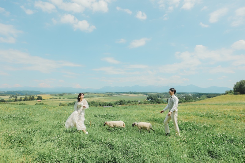 北海道らしい牧場での1コマ。お部屋のインテリアにも◎