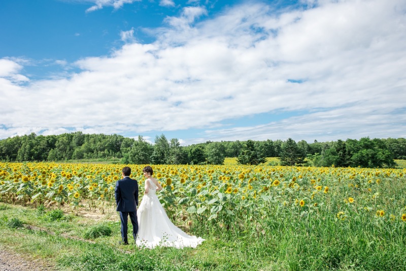 【北竜町ひまわり畑ロケーション】撮影+全データ300カット以上◇美肌スタイルアップレタッチ付き