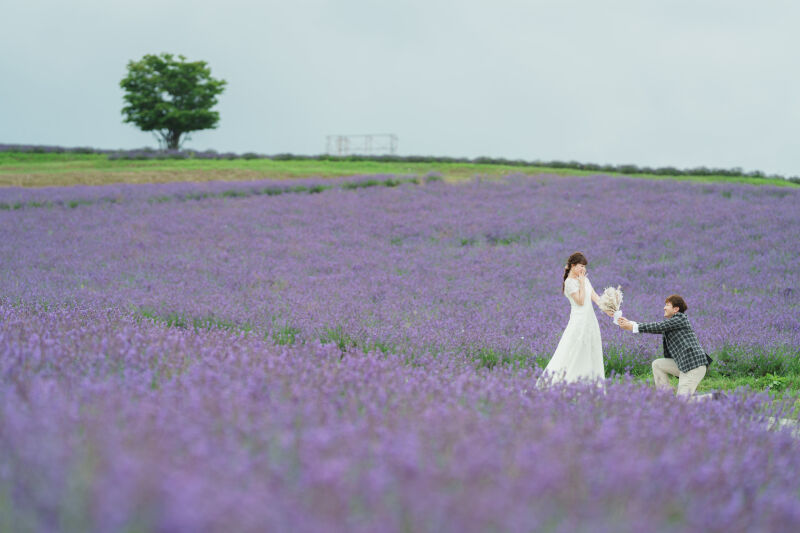 美瑛店人気No1【北海道満喫プレミアム撮影】衣装+ヘアメイク+アクセサリー+ブーケ等/写真データ350カット納品/美肌レタッチ込