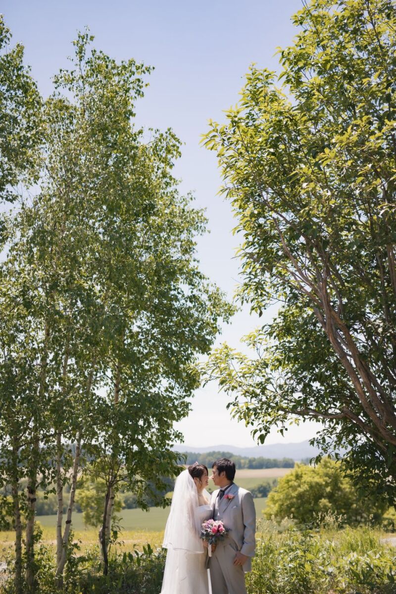 丘のうえを選んだ理由