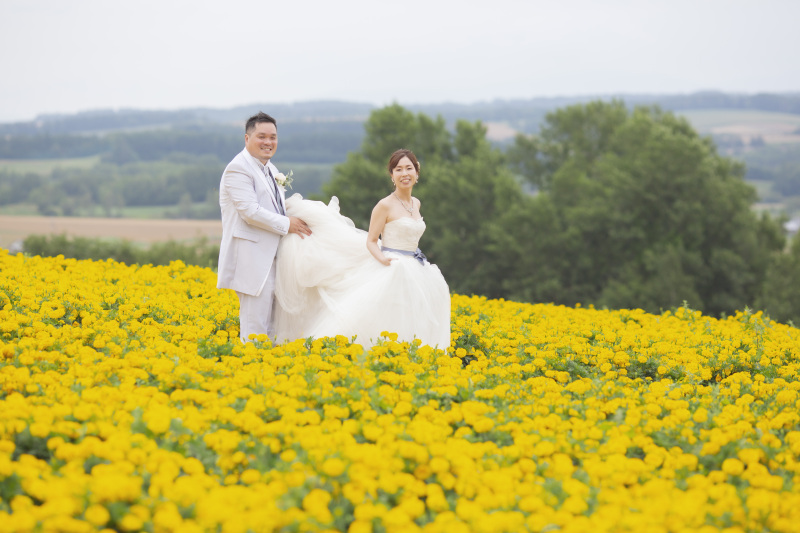 マリゴールドの花畑