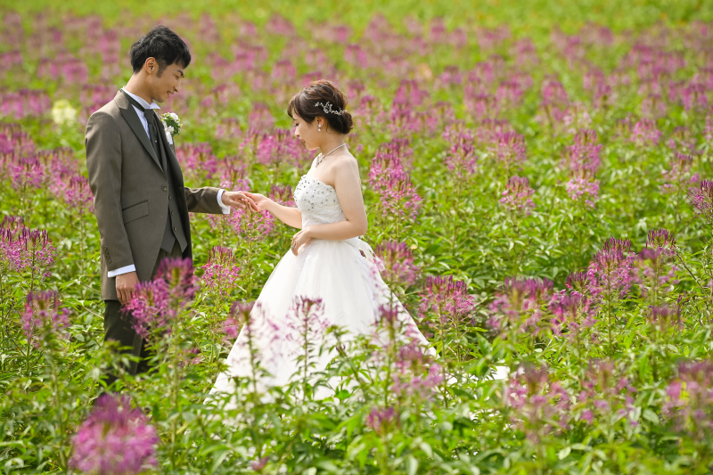 お花畑の中でのショット